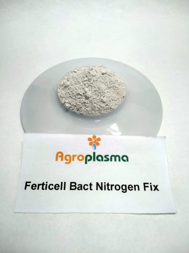 Ferticell bact nitrogen fix
